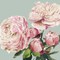 Pink Peony II Poster Print by Asia Jensen - Item # VARPDXJN279A